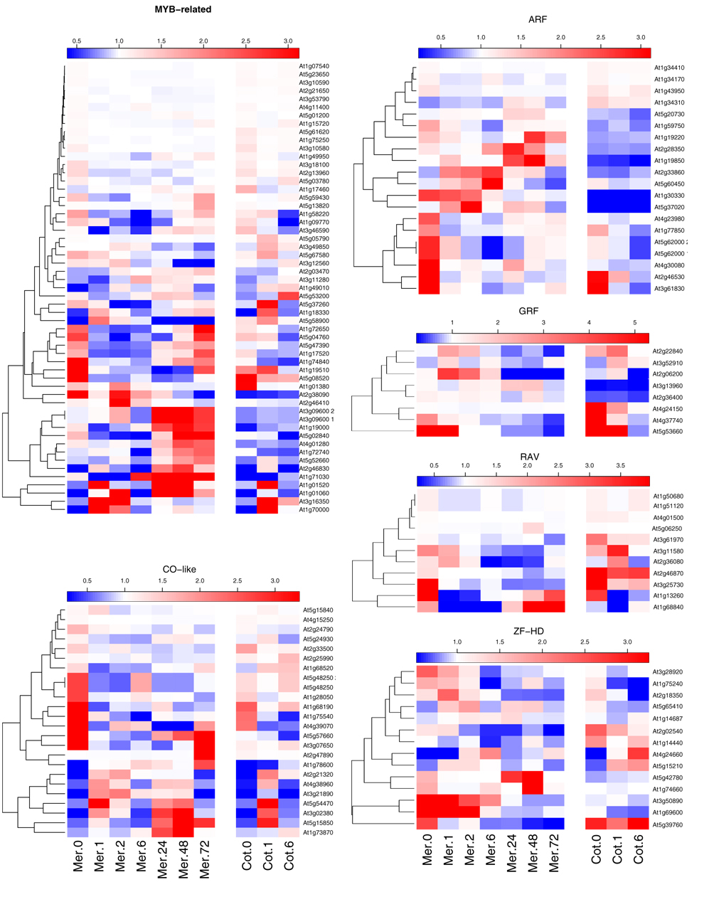 Heatmap of over represented TF families