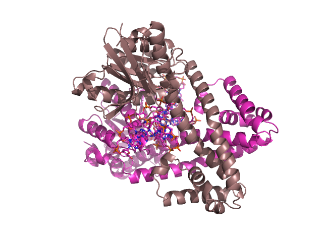An image of 1DC1 a restriction enzyme complex