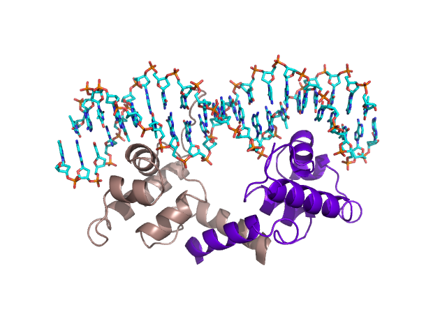 An image of 1LMB a TF complex