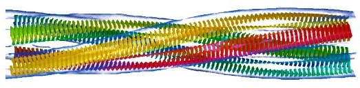 Insulin amyloid fibril taken from Helen Saibal's lab.